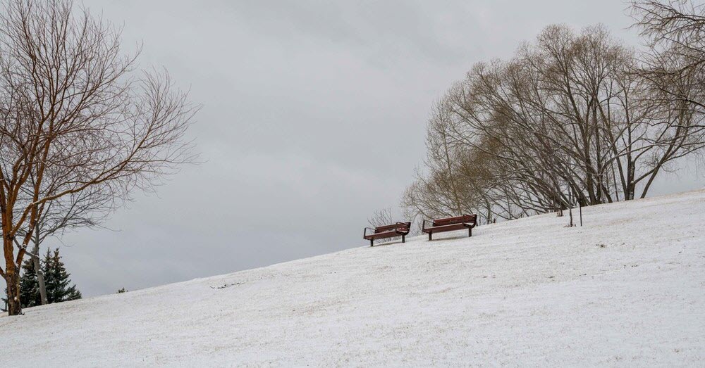 Calgary Parks & Pathway Bylaw Review Engage