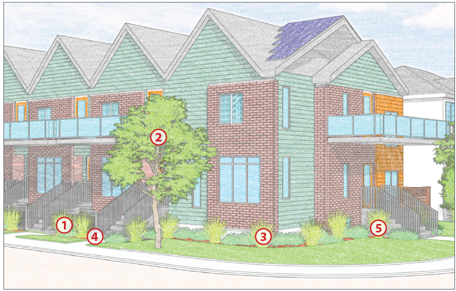 Review the important considerations included in landscape design below.